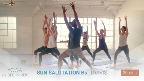 Sun Salutation B