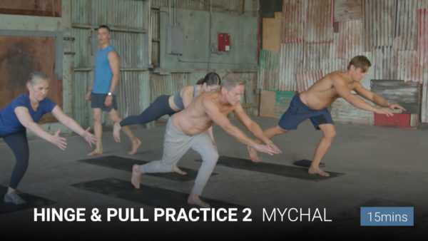 Hinge & Pull Practice 2