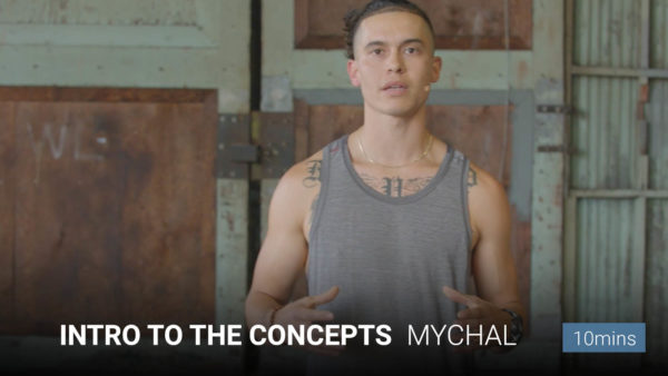Intro to The Concepts