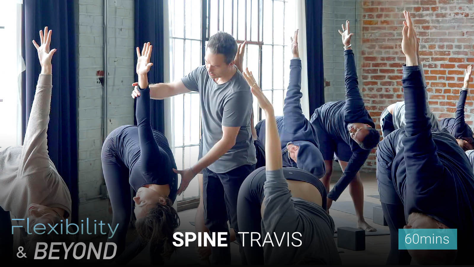 .<b>Spine</b>.
