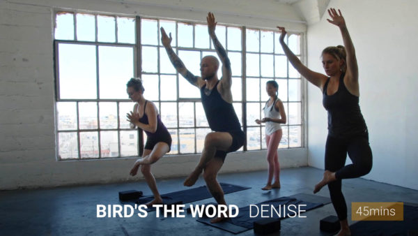 Bird's the Word