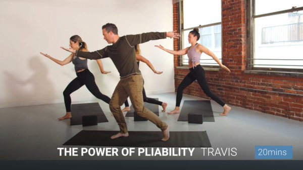 The Power of Pliability