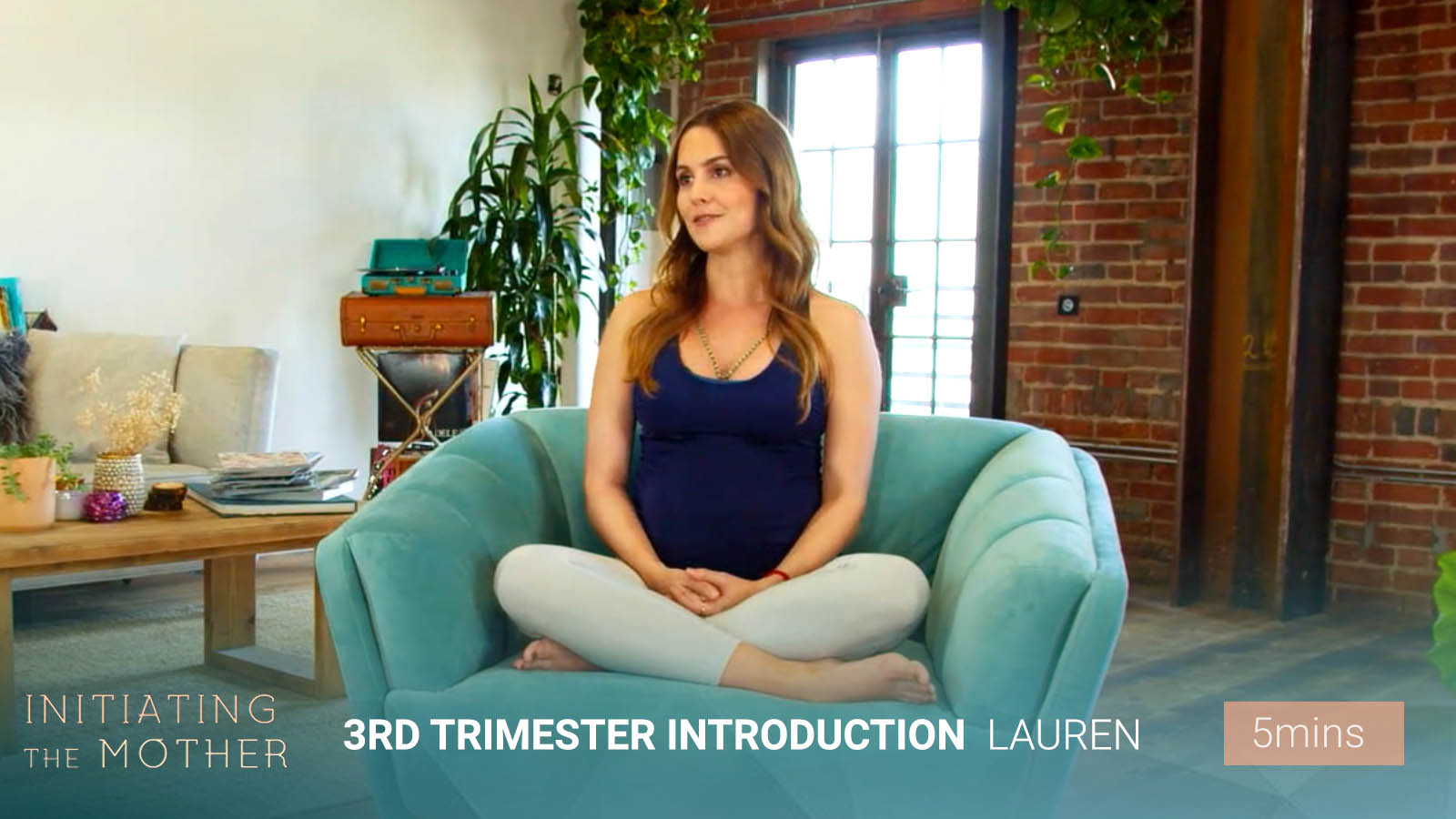 .3rd Trimester Introduction Video.