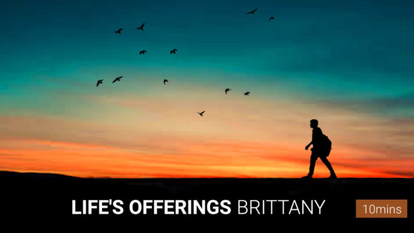 Life's Offerings