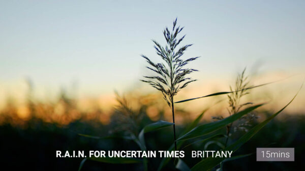 R.A.I.N. for Uncertain Times