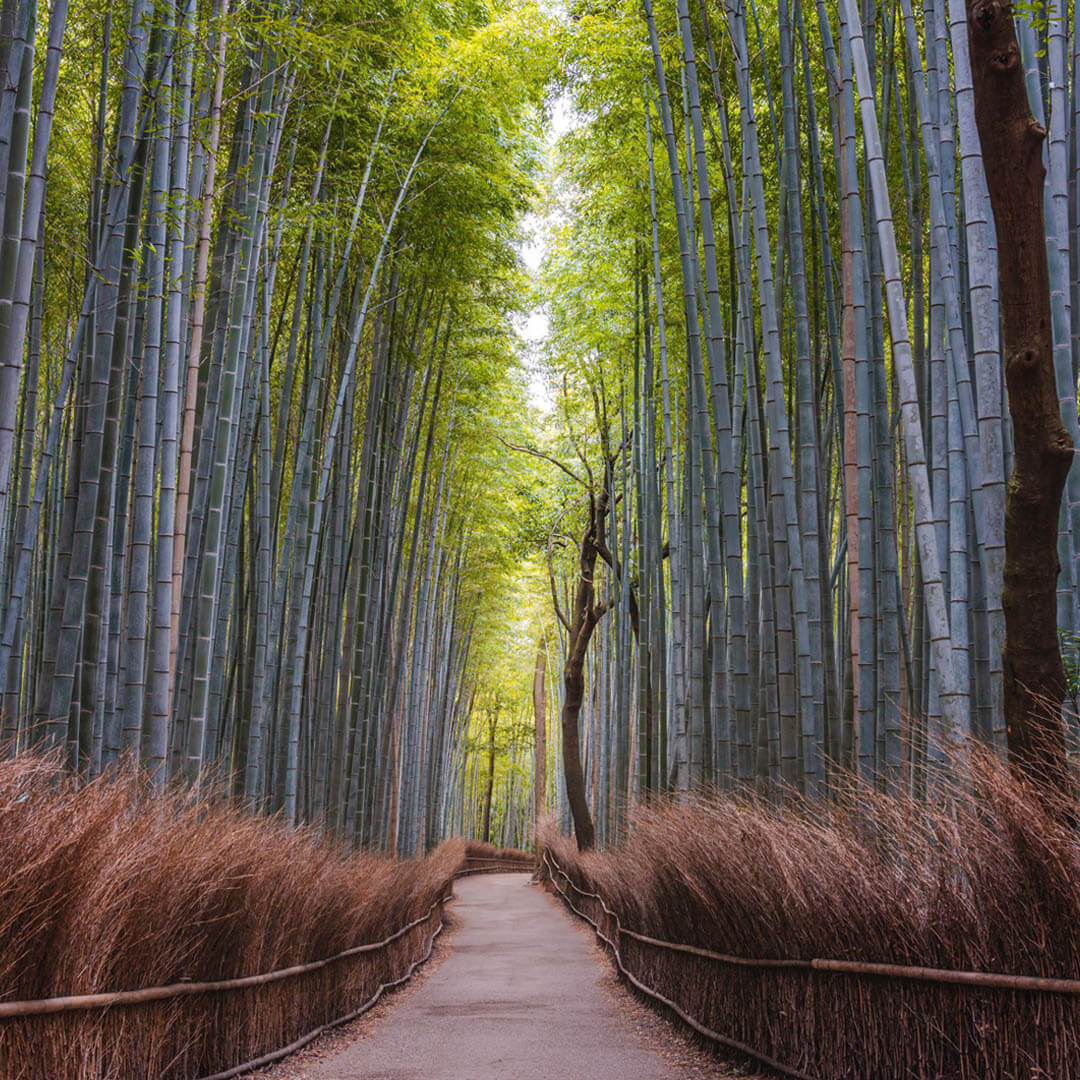 What Is Taoism And How It Can Improve Your Life