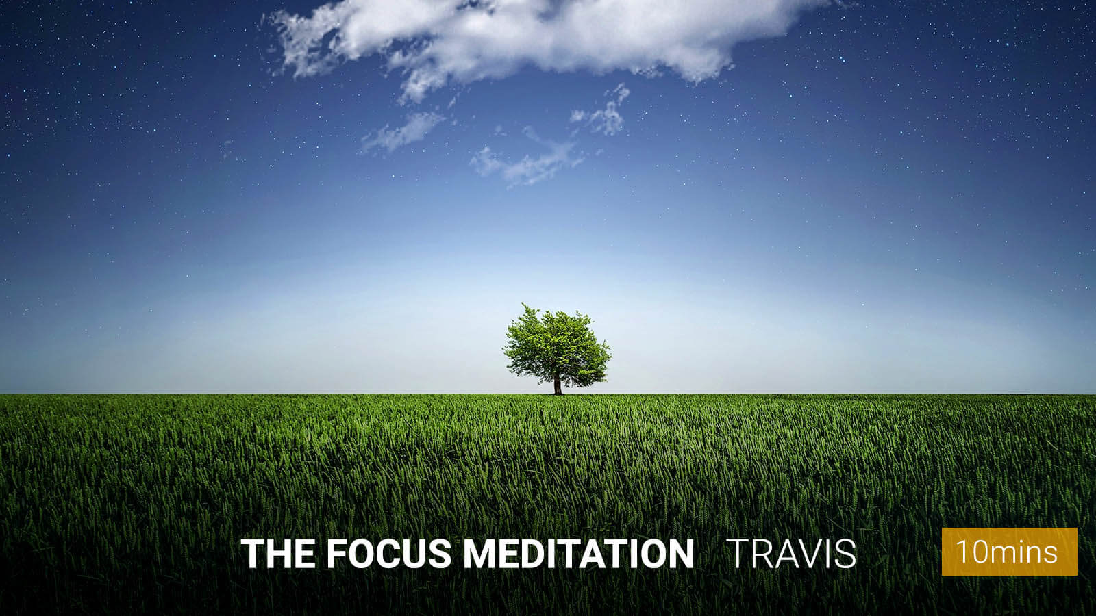 .<b>The Focus</b> Meditation.