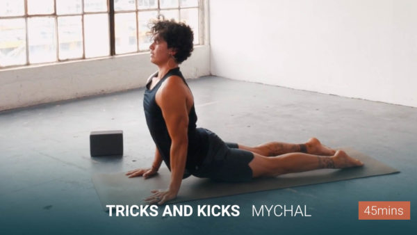 Tricks and Kicks