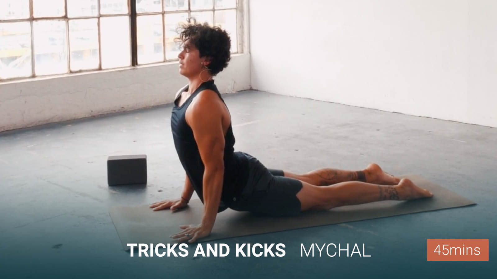 .<b>Tricks</b> and Kicks.