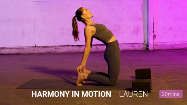Harmony In Motion