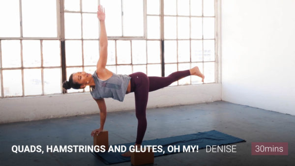 Quads, Hamstrings and Glutes, Oh My!