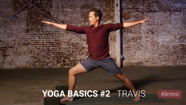 Yoga Basics #2