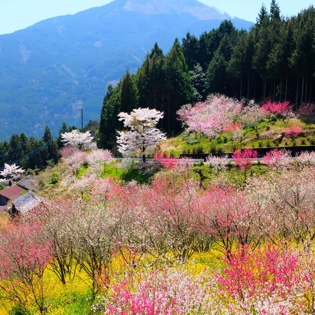 the-importance-of-spring-equinox-blog