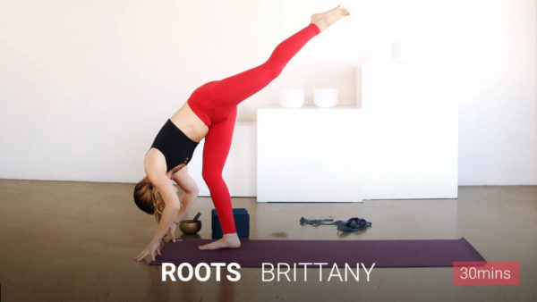 ROOTS