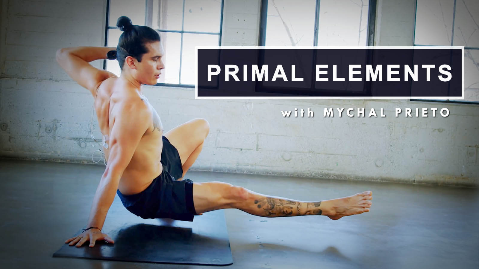 Inner Dimension Series Primal Elements Mychal Prieto