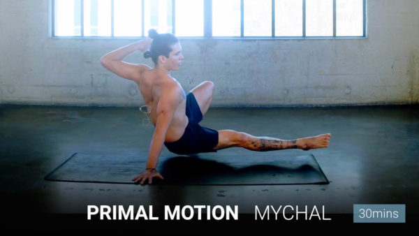 Primal Motion