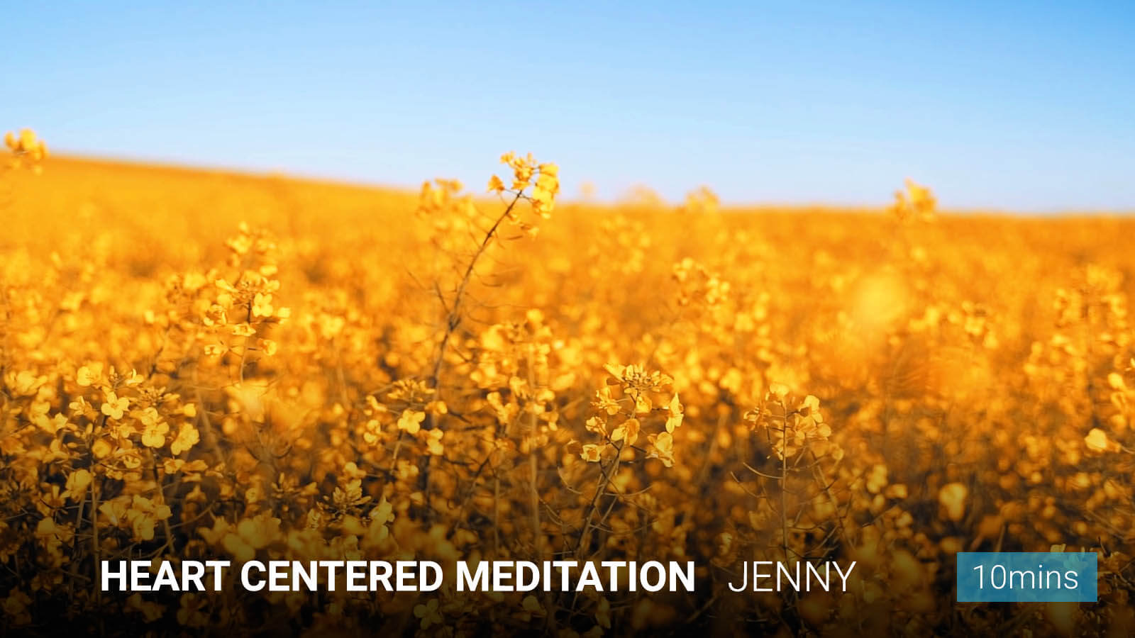 Meditation Inner Dimension