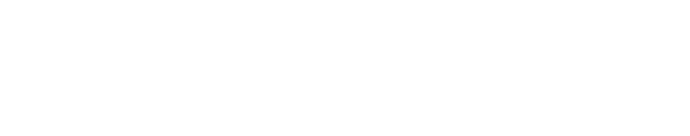 Logo for the program Flow & GO