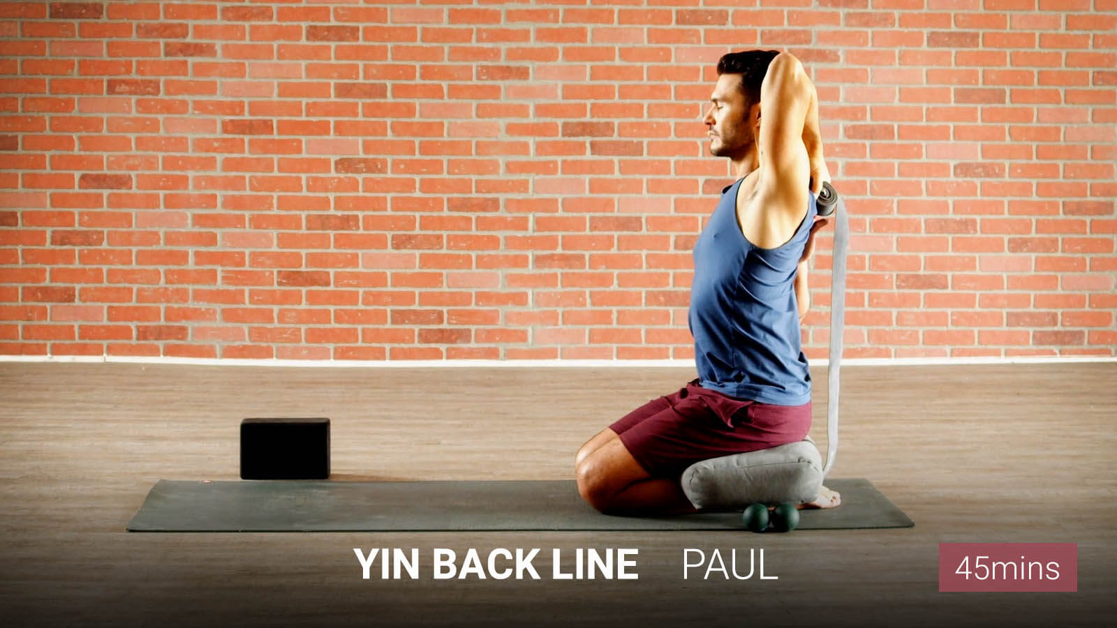 .Yin <b>Back Line</b>.