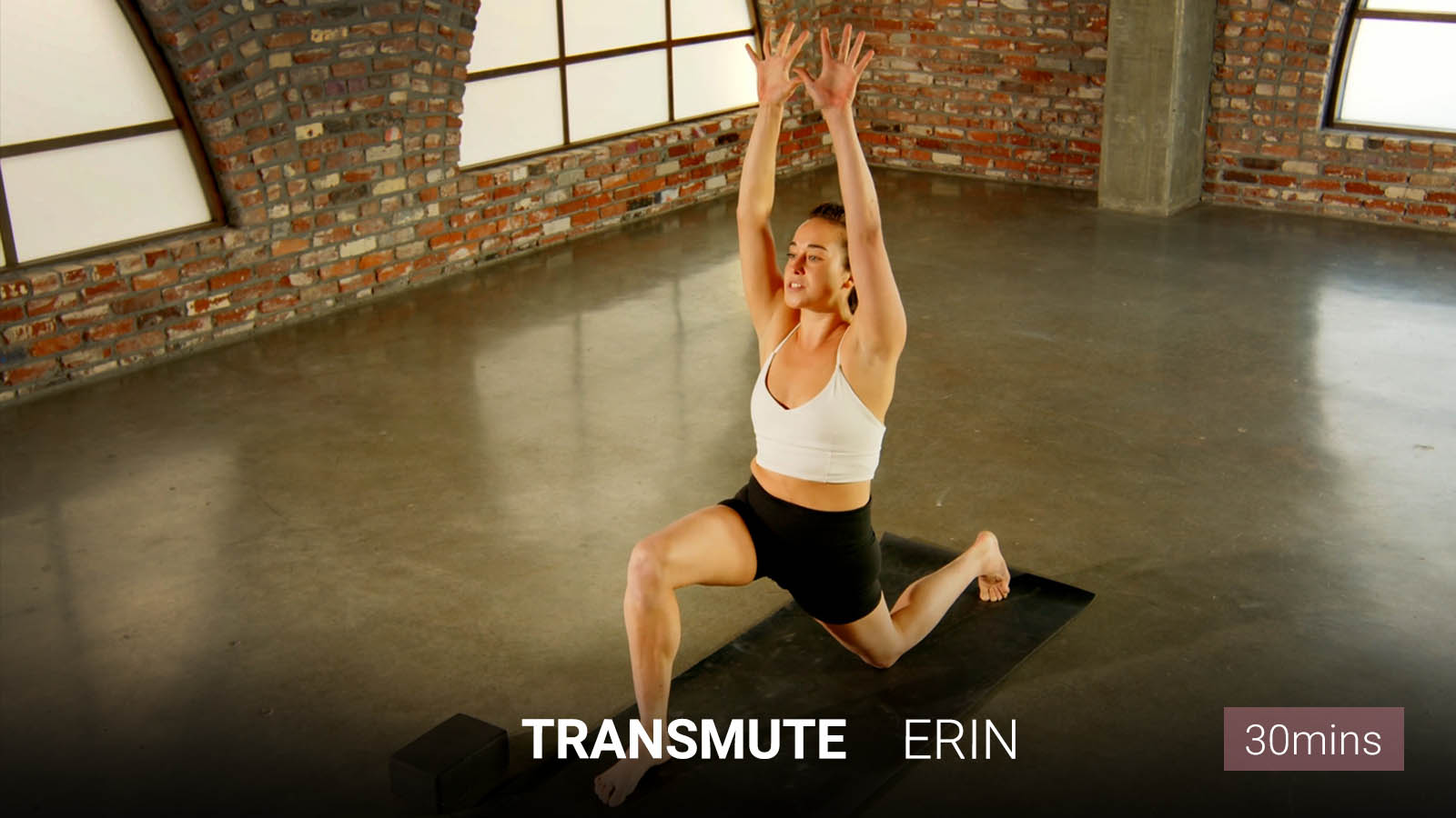 .<b>Transmute</b>.