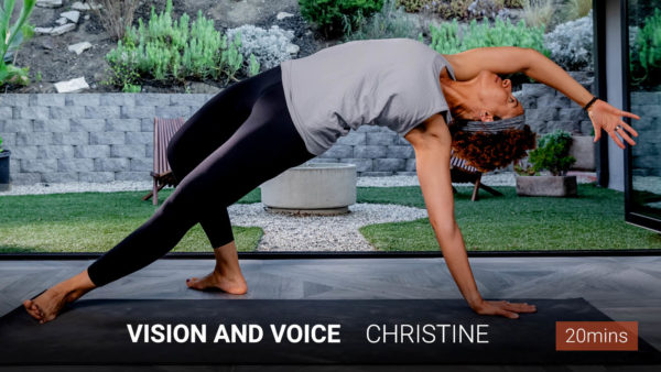 Vision and Voice