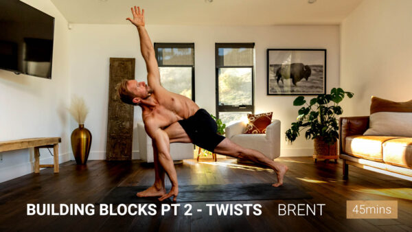 Building Blocks Pt. 2 Twists