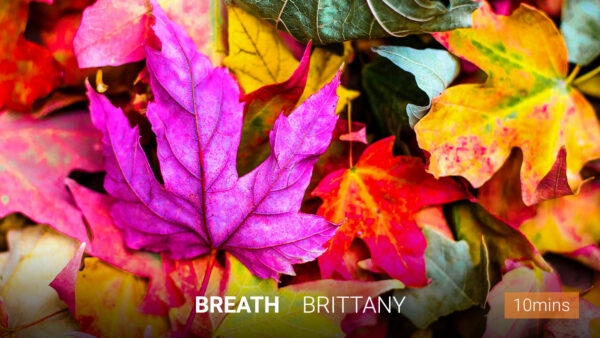 Breath