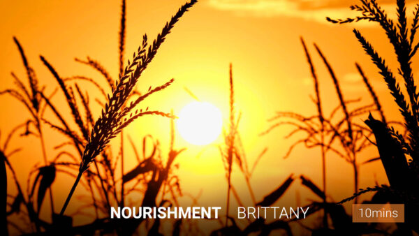 Nourishment