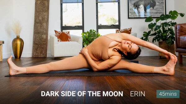 Dark Side of the Moon