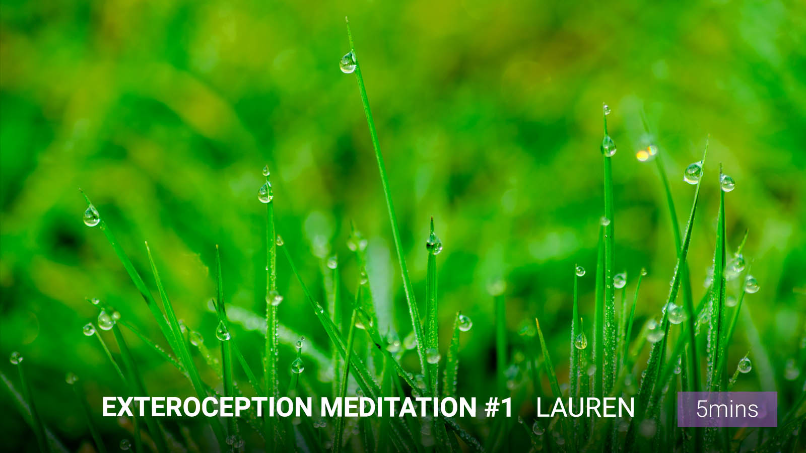 .<b>Exteroception</b><br/> Meditation #1.