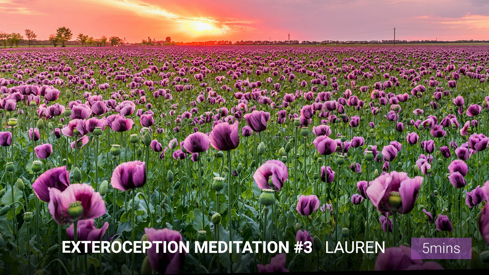 .<b>Exteroception</b> <br/>Meditation #3.
