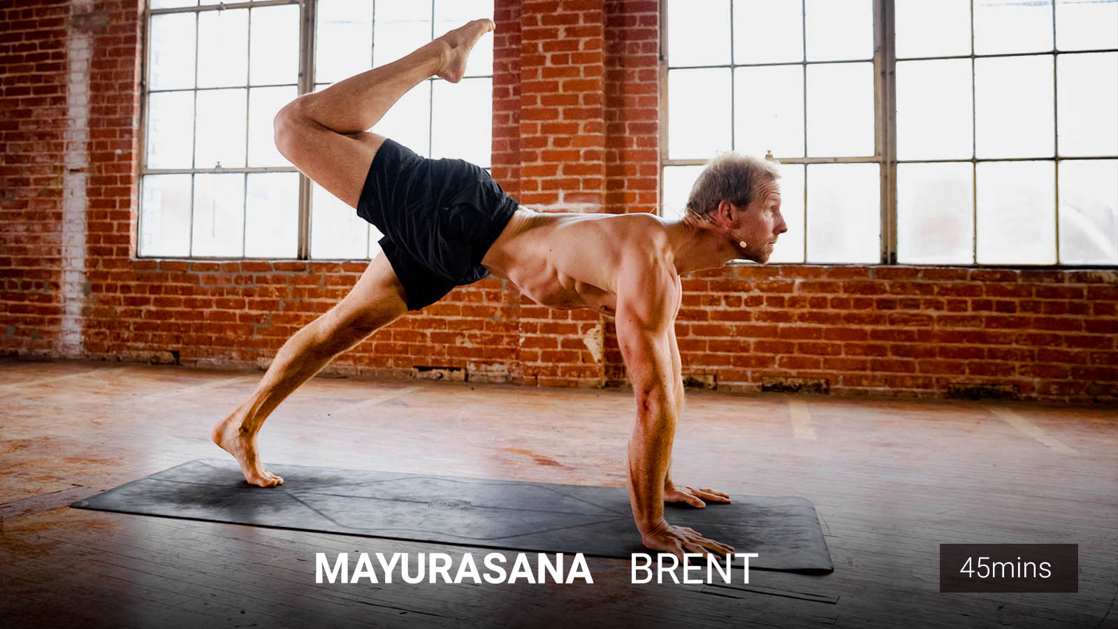 .<b>Mayurasana</b><br/>Turning Poison Into Power.