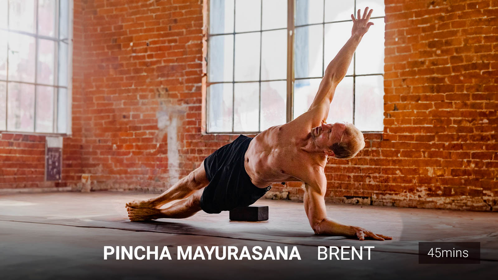 .<b>Pincha Mayurasana</b><br/>Fly All Your Flags.