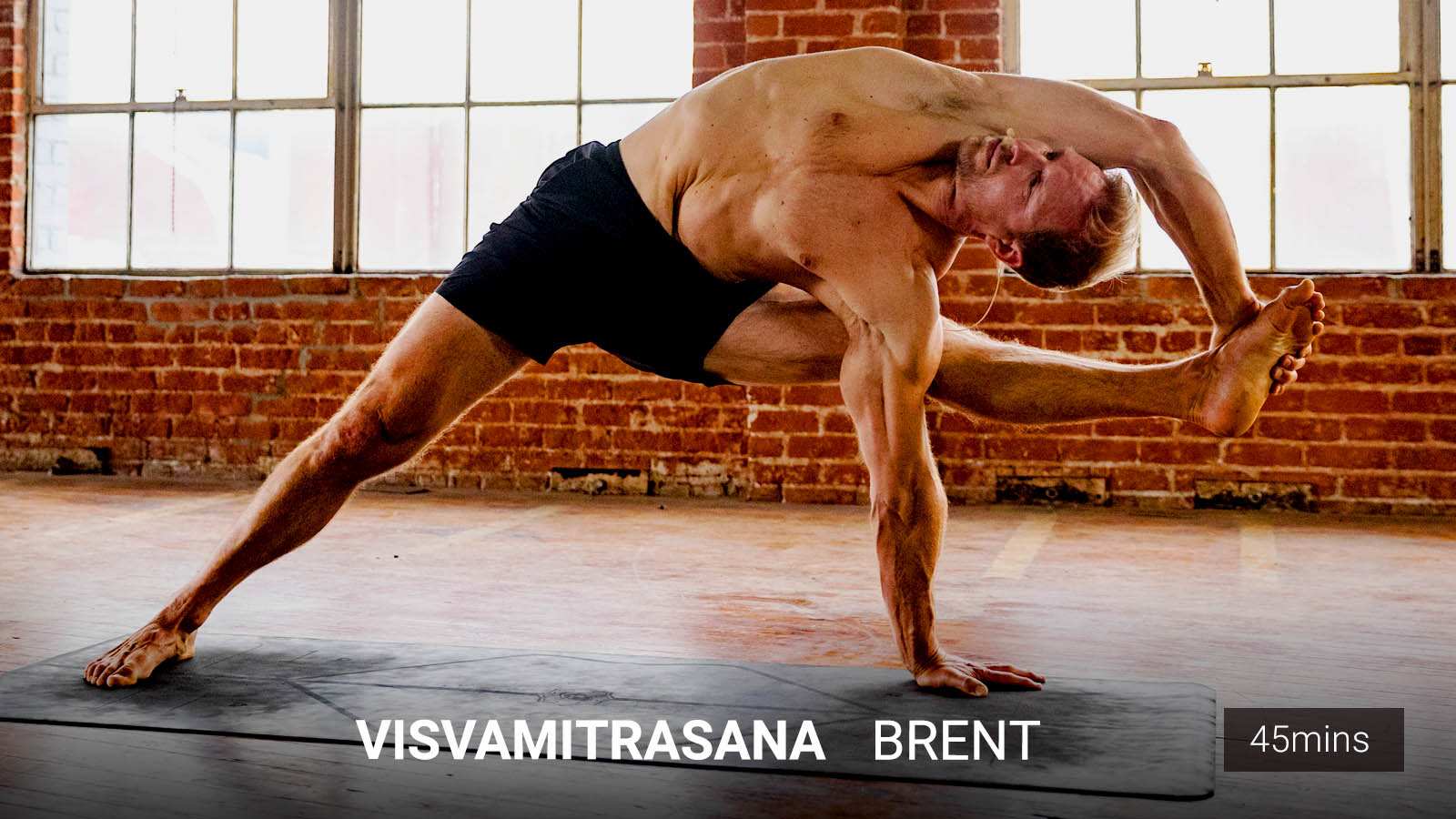 .<b>Visvamitrasana</b><br/>The Long Road to Freedom.