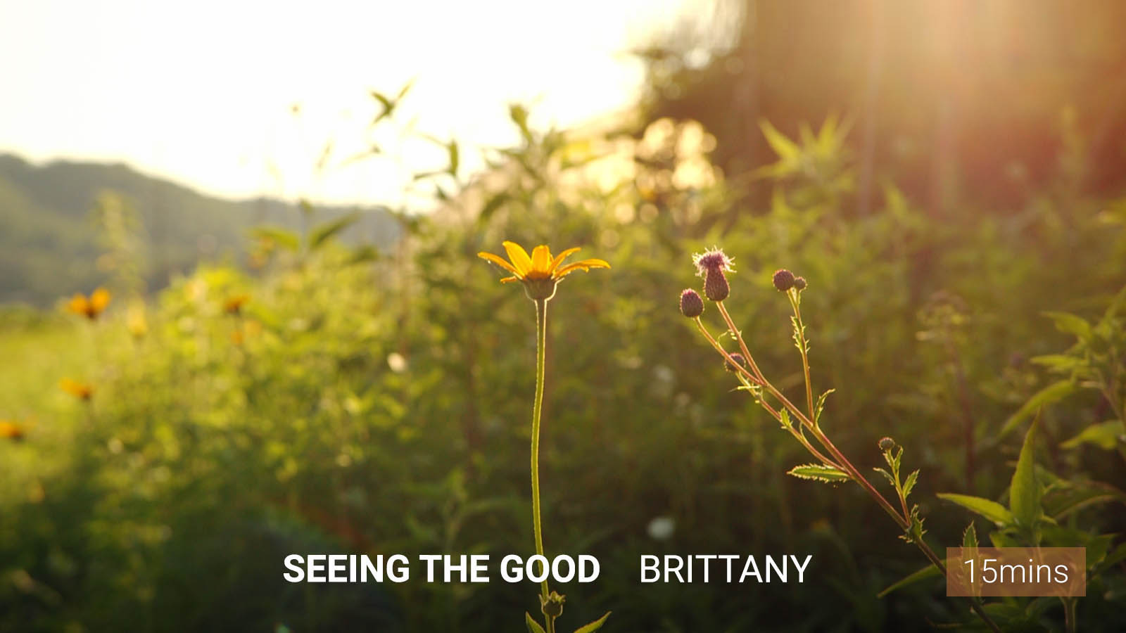 .<b>Seeing</b> the Good.