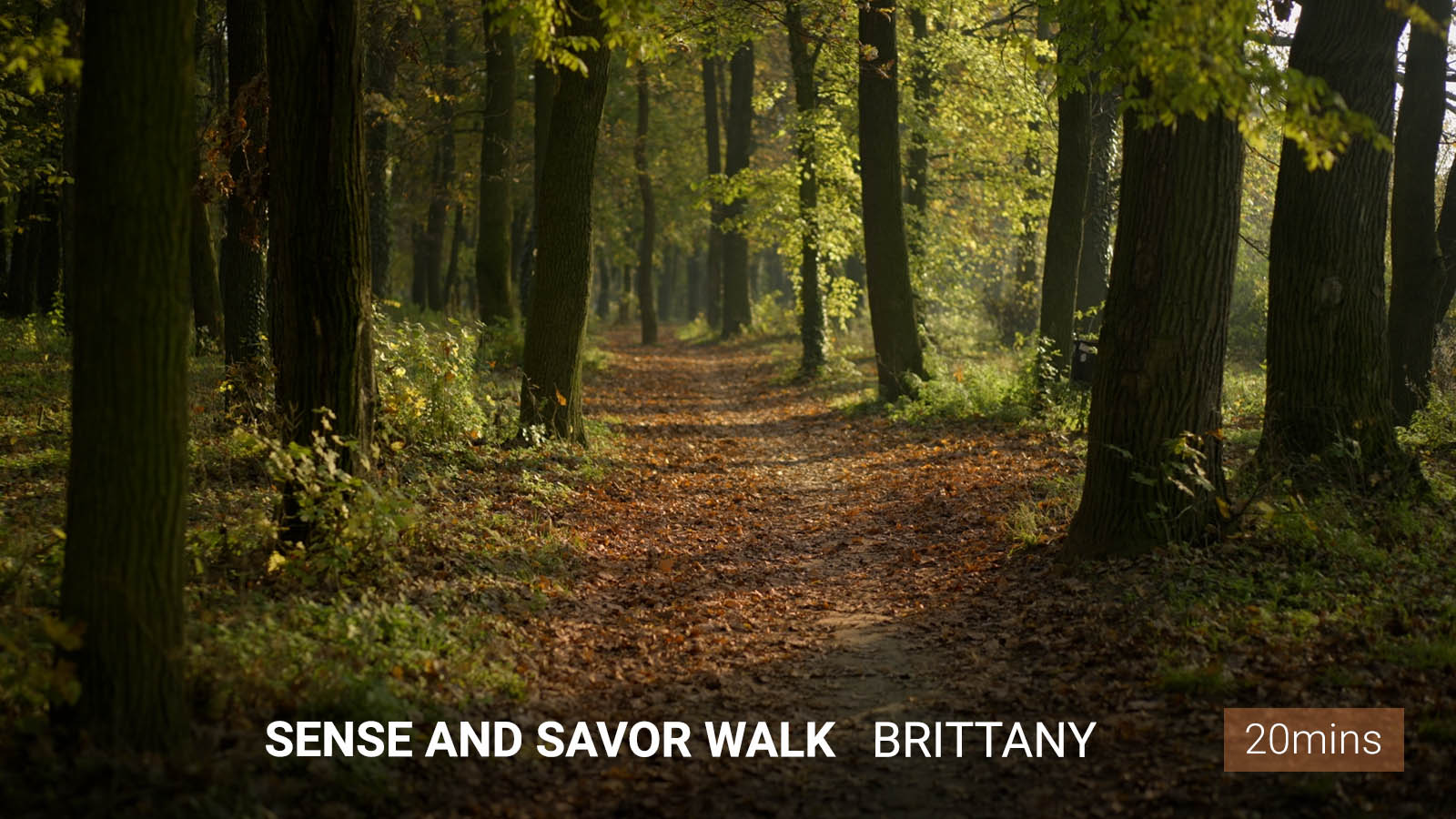 .Sense and <b>Savor Walk</b>.