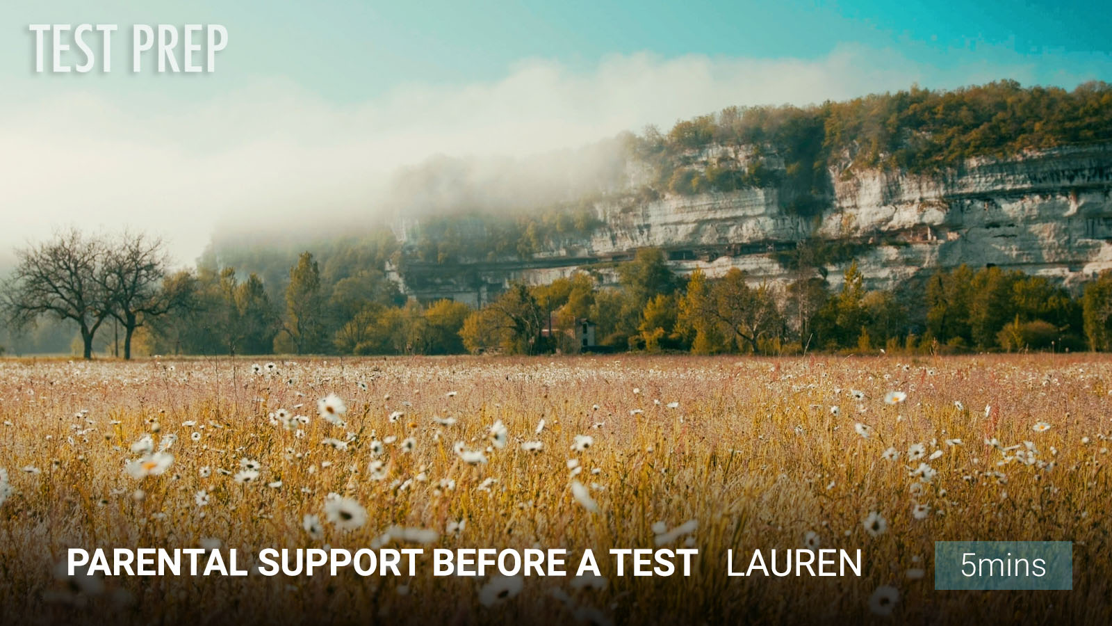 .Parental Support Before a Test.