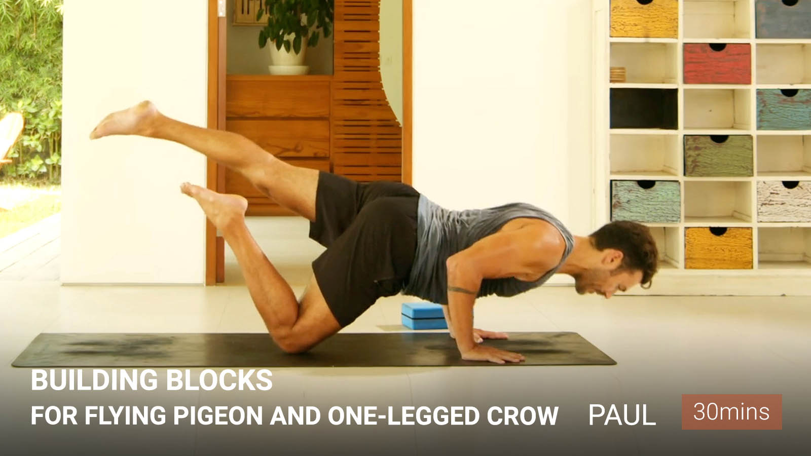 .Building Blocks For Flying Pigeon And One-Legged Crow.