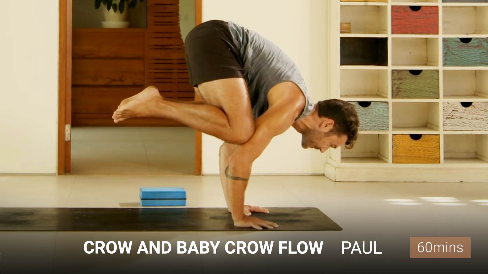 .Crow and baby crow flow.