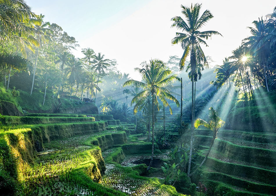 Bali Yoga Retreat with Travis Eliot and Lauren Eckstrom