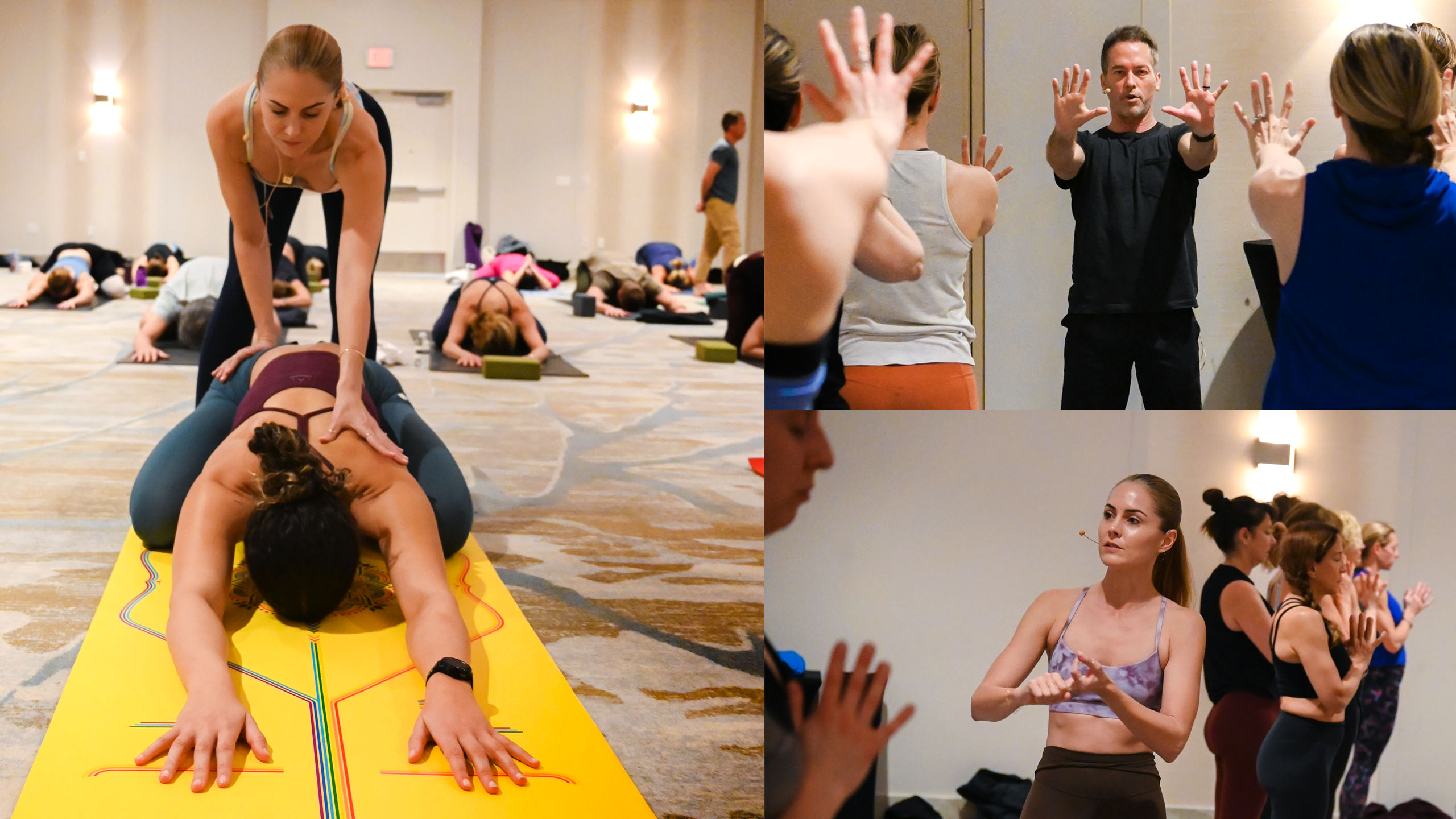 200 HR HYBRID TEACHER TRAINING with Travis Eliot and Lauren Eckstrom